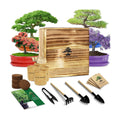 Bonsai Tree Starter Kit for Beginners - Indoor Live Plant Gardening Adult Craft DIY Kits - Unique Christmas, Birthday