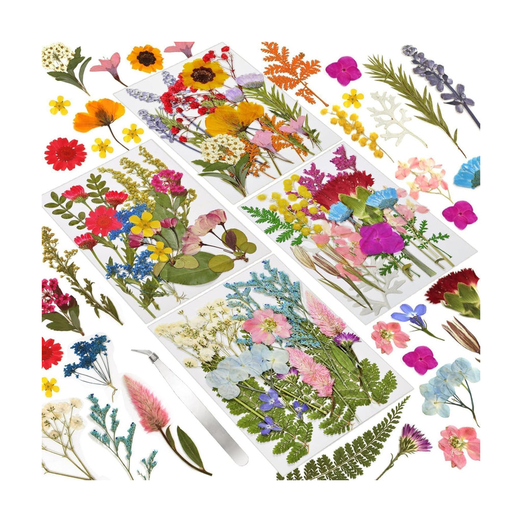 Dried Flowers 72pcs Natural Pressed Flowers and Leaves