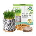 The Cat Ladies Organic Cat Grass Growing Kit for Indoor Cats, Boho Planter | Includes Organic Seed Mix, Soil and Boho