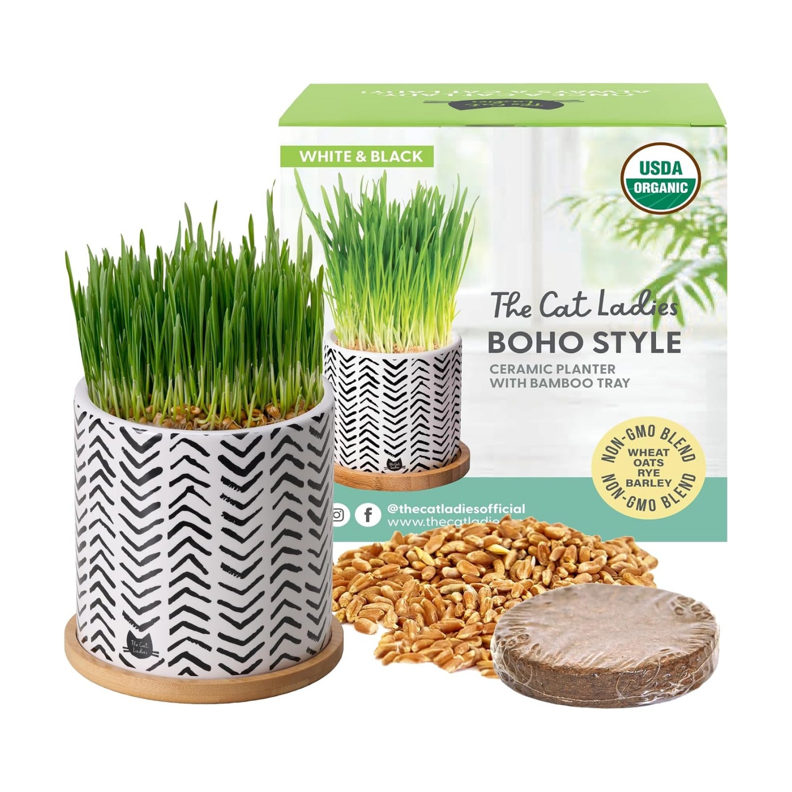 The Cat Ladies Organic Cat Grass Growing Kit for Indoor Cats, Boho Planter | Includes Organic Seed Mix, Soil and Boho