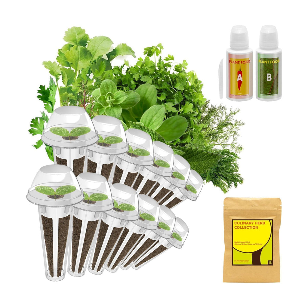 inbloom Culinary Herbs Seed Pod Kit for Hydroponics Growing System, 12 Pods (350+ Seeds with Basil, Parsley, Shis0