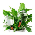 Soilagua 19 oz Extra Large Plant Self Watering Globes Top Fill, Plastic Water Bulbs, Slow Release Terracotta Self