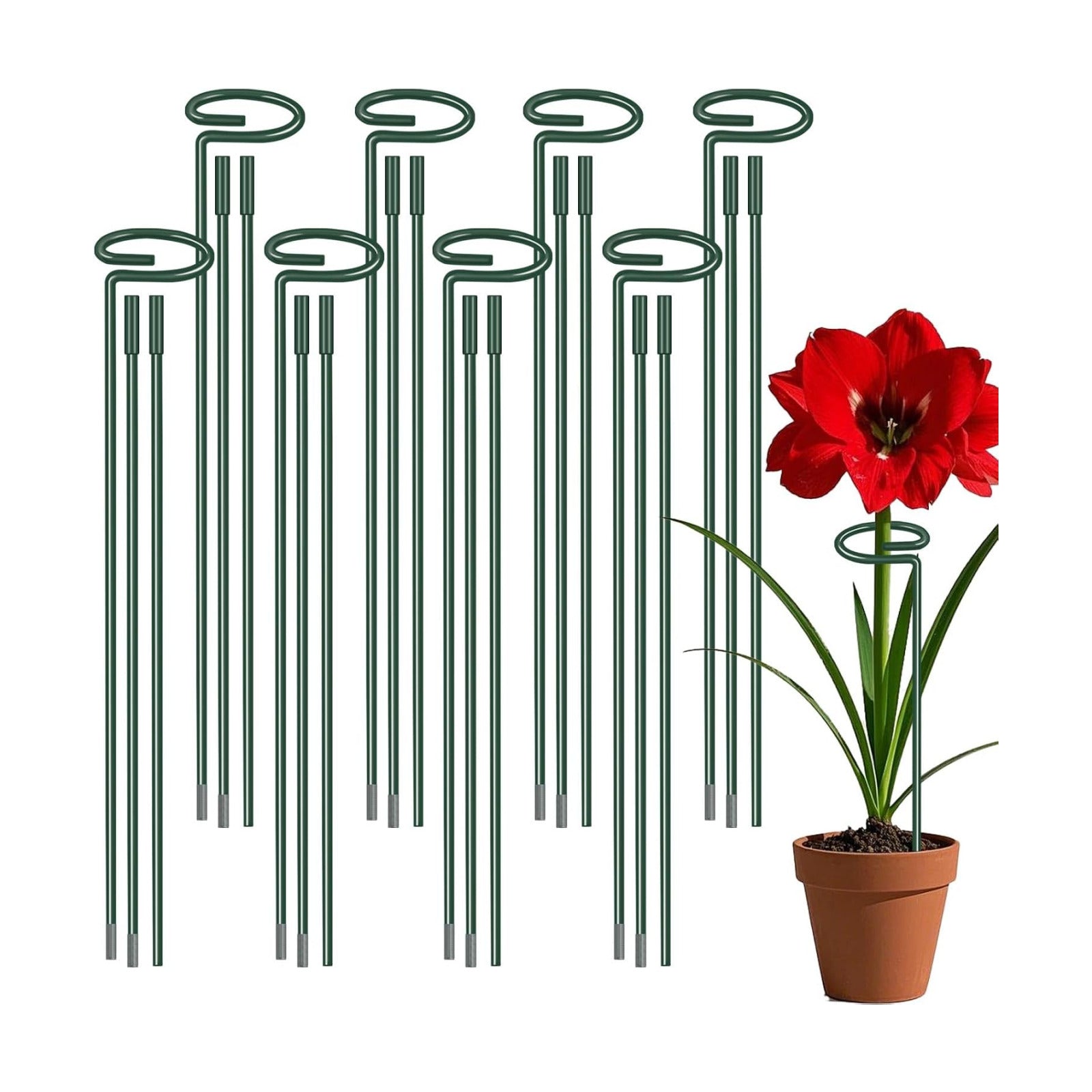 36 Inch Plant Sticks Support Tall Three Sizes (12 or 24 or 36 Inch), 8 Pcs 4.5mm Adjustable Outdoor and Indoor Plant