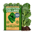 HOME GROWN Georgia Southern Collard Seeds, 300+ Seeds, Brassica oleracea