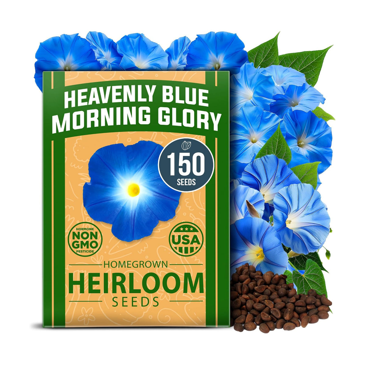 HOME GROWN Heavenly Blue Morning Glory Seeds, 150 Seeds, Ipomoea Tricolor