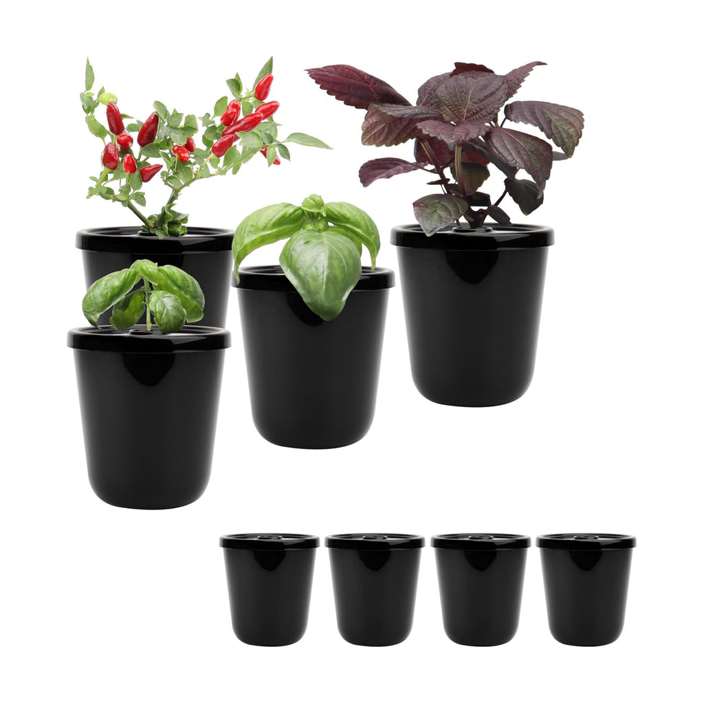 Kratky Method Hydroponic Planter Kit, 8 Hydroponic Planter Plus 24 Growing Sponges for Herbs, Hydroponic Mini Buckets