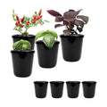 Kratky Method Hydroponic Planter Kit, 8 Hydroponic Planter Plus 24 Growing Sponges for Herbs, Hydroponic Mini Buckets