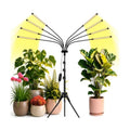 Grow Lights for Indoor Plants, Full Spectrum Grow Light for Indoor Growing with Tripod Stand, Auto On/Off Timing 4/8/12H, Plant Grow Lights Indoor.