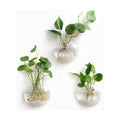 Mkono Wall Propagation Planters, 3 Pack Oblate Hanging Plant Holder Vase | Glass Terrariums Station, Hydroponic Indoor