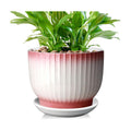 8 Inch Plant Pot, Ceramic Planter with Drainage and Saucer, Ceramic Pots for Plants, Indoor Plant pots,Flower pots(Pink