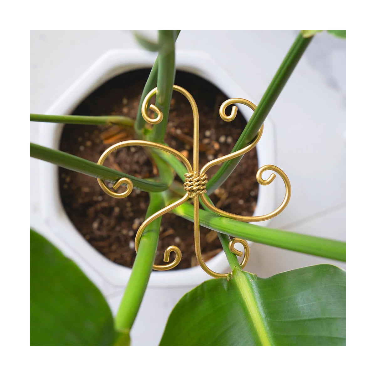 5PCS Plant Stem Support-4.1 * 4.1IN Gold Metal Stem Stabilizers