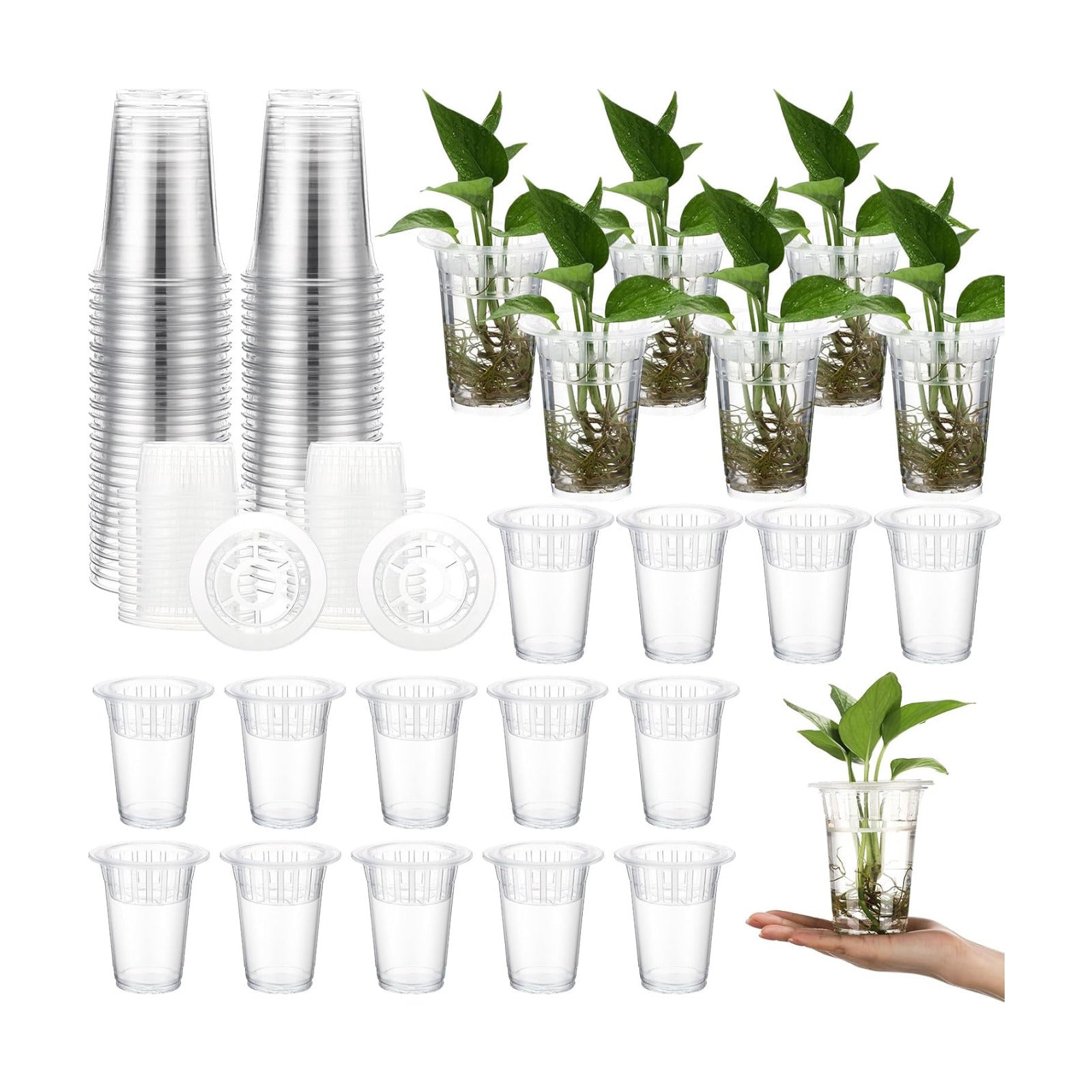 36 Pcs Plastic Plant Propagation Vase for Indoor Decor, 4.57'' | Clear Plastic Vase with Hydroponic Basket, Pet