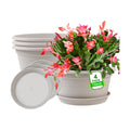 Large 4 Pack 13 inch Plant Pots, Round Plastic Pots for Plants with Trays | Outdoor Planters with Drainage Hole &