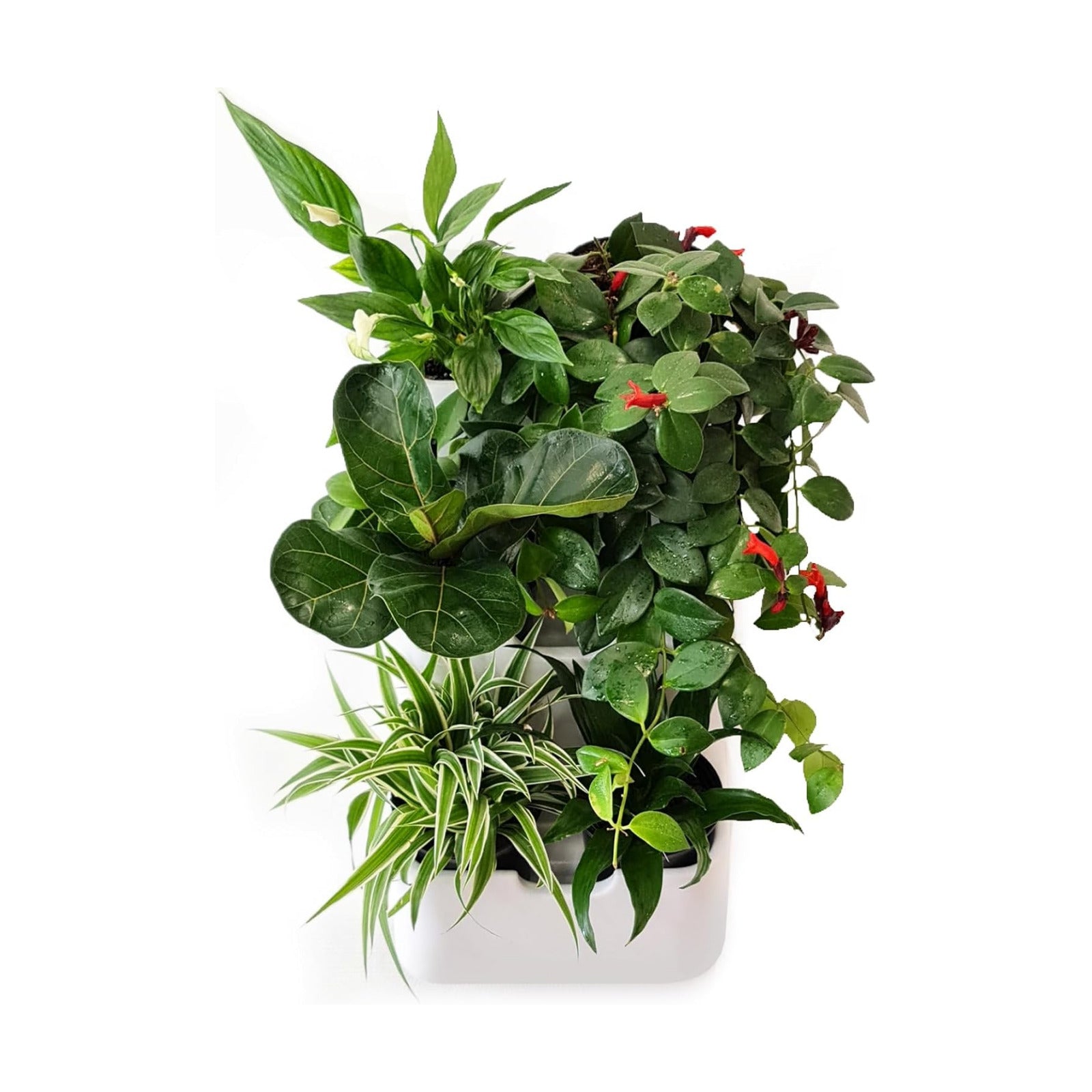 BOXSAND-6 (12"x26") Vertical Wall Planter – Living Wall for 6 Plants, Indoor/Outdoor Hanging Vertical Garden, Easy