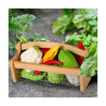 Teenyyou Large Garden Hod Harvest Basket 13 x 9 x 7 Inch, Wooden Gathering Basket with Handle Wire Mesh for Gardening
