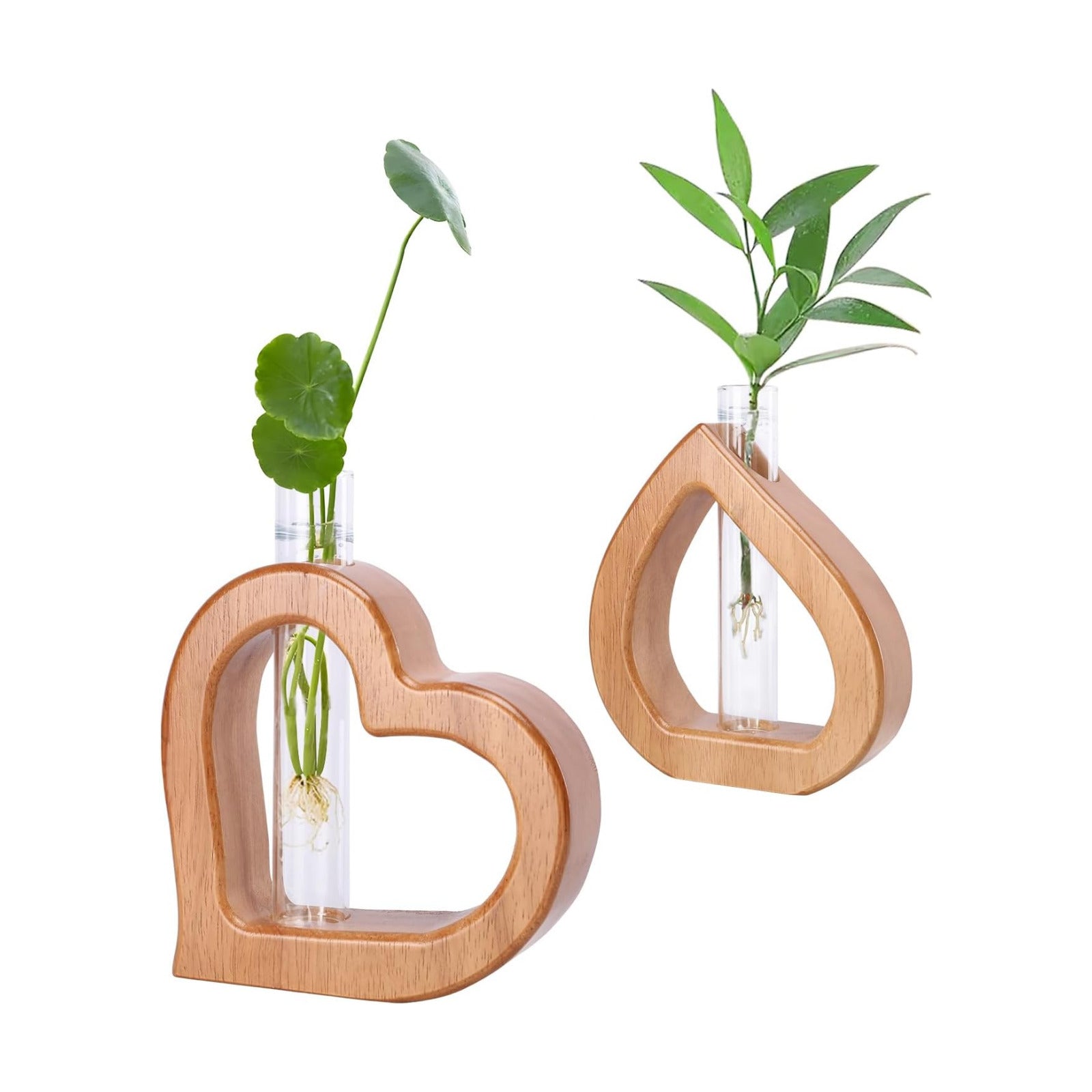 Plant Propagation Stations 2 PCS Wall Hanging Planters | Wall hanging Glass Tubes Terrarium Plants for Indoor Plant