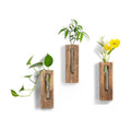 Farmhouse Wall Plant Propagation Station with Glass Tubes