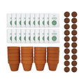 BUZZY Seeds Spruce Tree Grow Kit, Bulk 20-Pack - Mini Terracotta Pot Grow Set - Complete Indoor/Outdoor Gardening Kit