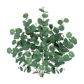 33.8" Tall Faux Eucalyptus Stems Real Touch Artificial Greenery Stem, Faux Eucalyptus Stems Silver Dollar Leaves, Fake Greenery Stem for Bridal Wedding Bouquet Vase Table Centerpiece Decor 6Pcs