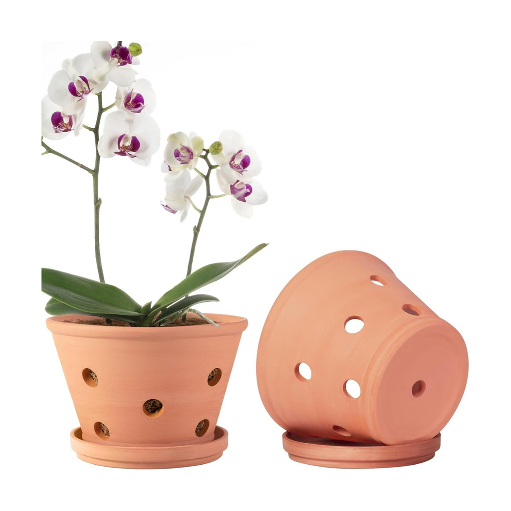 8 inch Terracotta Orchid Pots with Holes and Saucers, 2 Pack Clay Orchid Planter Pots for Repotting, Large Terra Cotta Orchid Pot, Plant Flower Pots for Orchid Indoor Outdoor Promotes Air Circulation