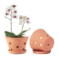 8 inch Terracotta Orchid Pots with Holes and Saucers, 2 Pack Clay Orchid Planter Pots for Repotting, Large Terra Cotta Orchid Pot, Plant Flower Pots for Orchid Indoor Outdoor Promotes Air Circulation