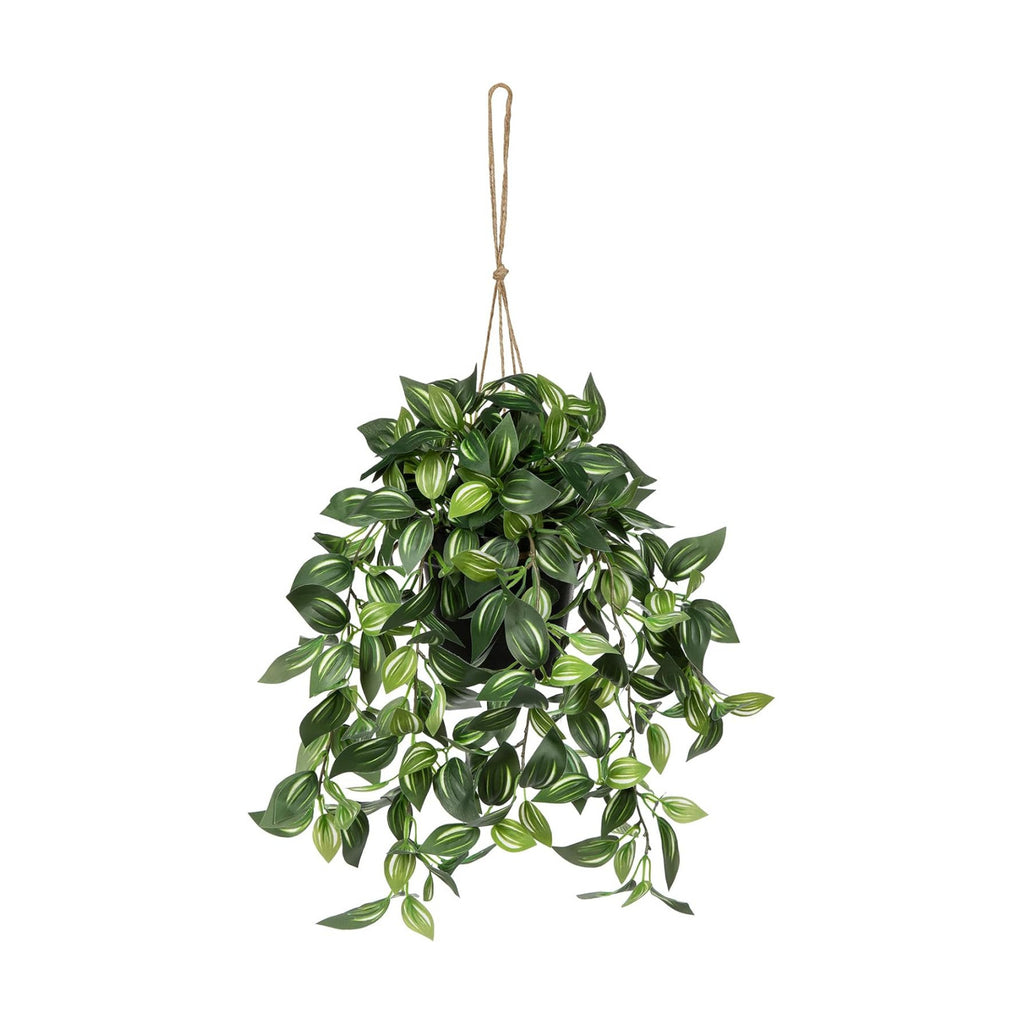 Briful Artificial Hanging Plants in Black Pot 17.7" Lifelike Trailing Faux Watermelon Peperomia Silk Plant with