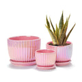 Pink Plant Pots，Ceramic Planters with Drainage Holes and Saucers Set of 3 | Ceramic Planters for Indoor Plants | Cute