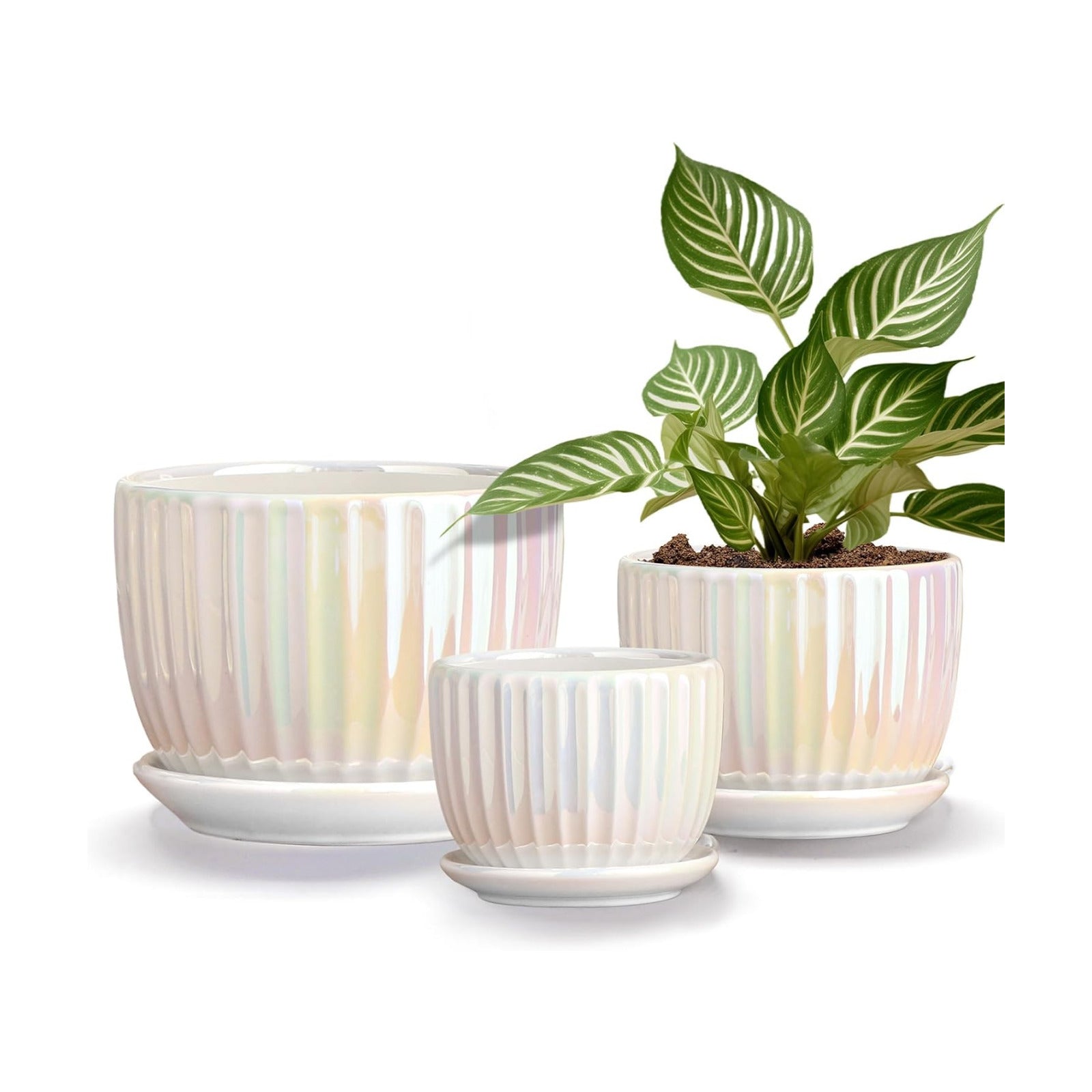 Plant Pots,Ceramic Flower Pots with Drainage Holes & Saucer Set of 3（Pearl） | Pots for Indoor Plants | Decorative