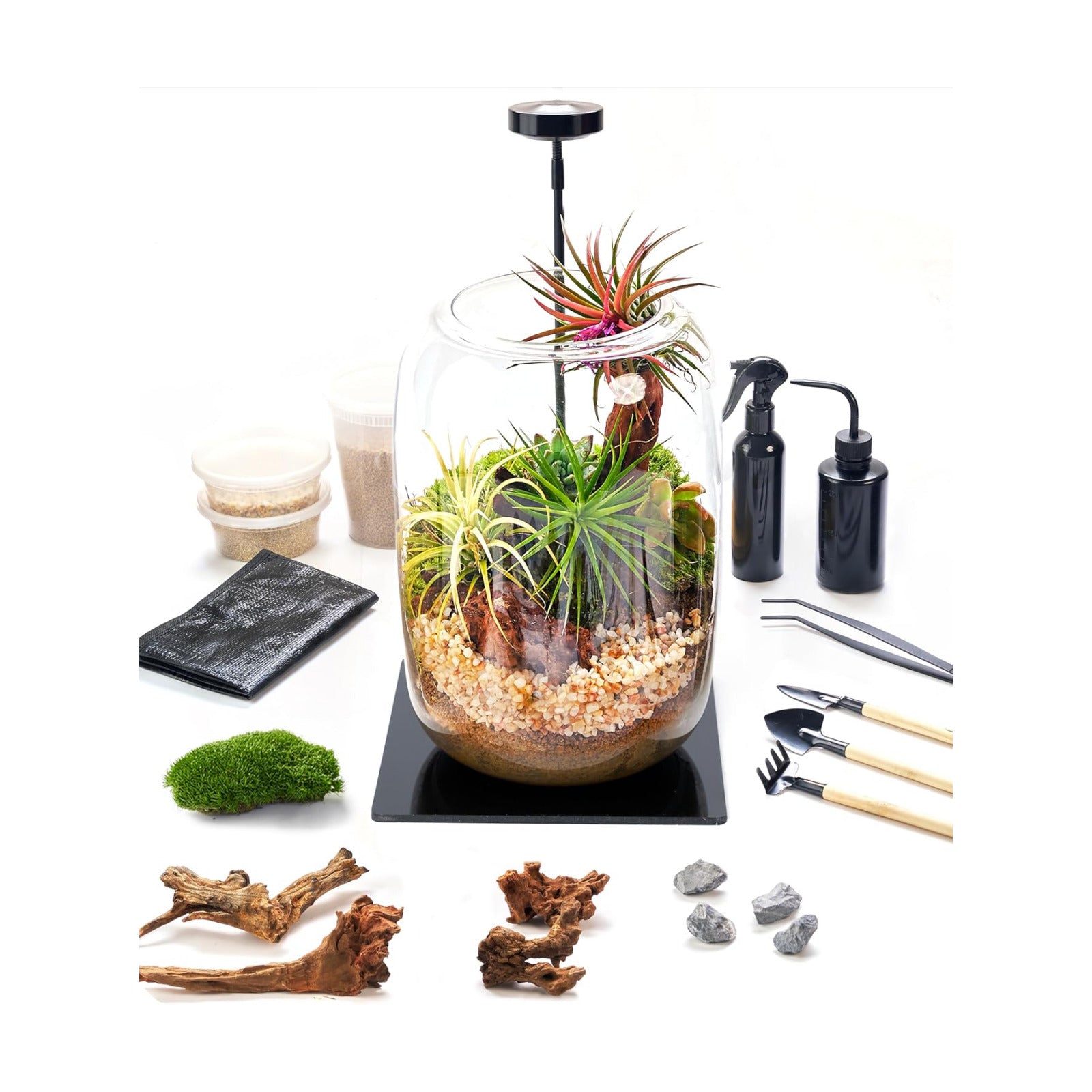 Premium Terrarium Kit with Live Moss, 24-Piece Glass Set | Complete DIY Kit, Grow Light, Beginner Friendly, Natural