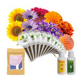 inbloom Fragrant Bouquet Seed Pod Kit for AeroGarden, iDoo, Ahopegarden, GARDENCUBE, 12 Pods (350+ Flower Seeds with