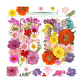 Dried Flowers, Resiners 58Pcs Pressed Flowers for Craft