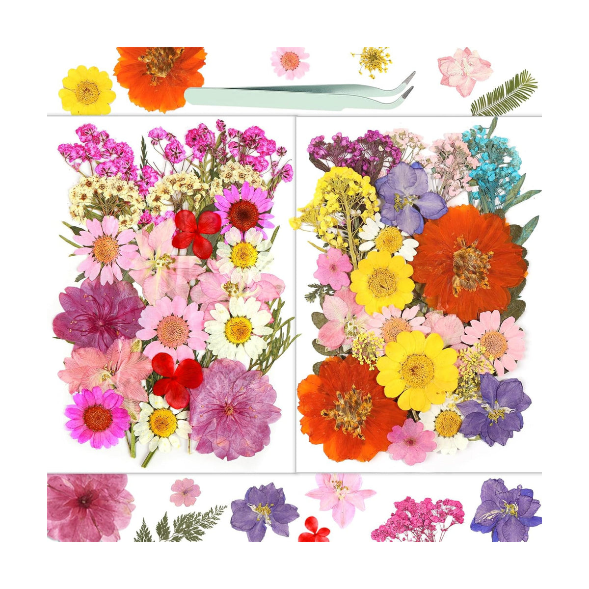 Dried Flowers, Resiners 58Pcs Pressed Flowers for Craft
