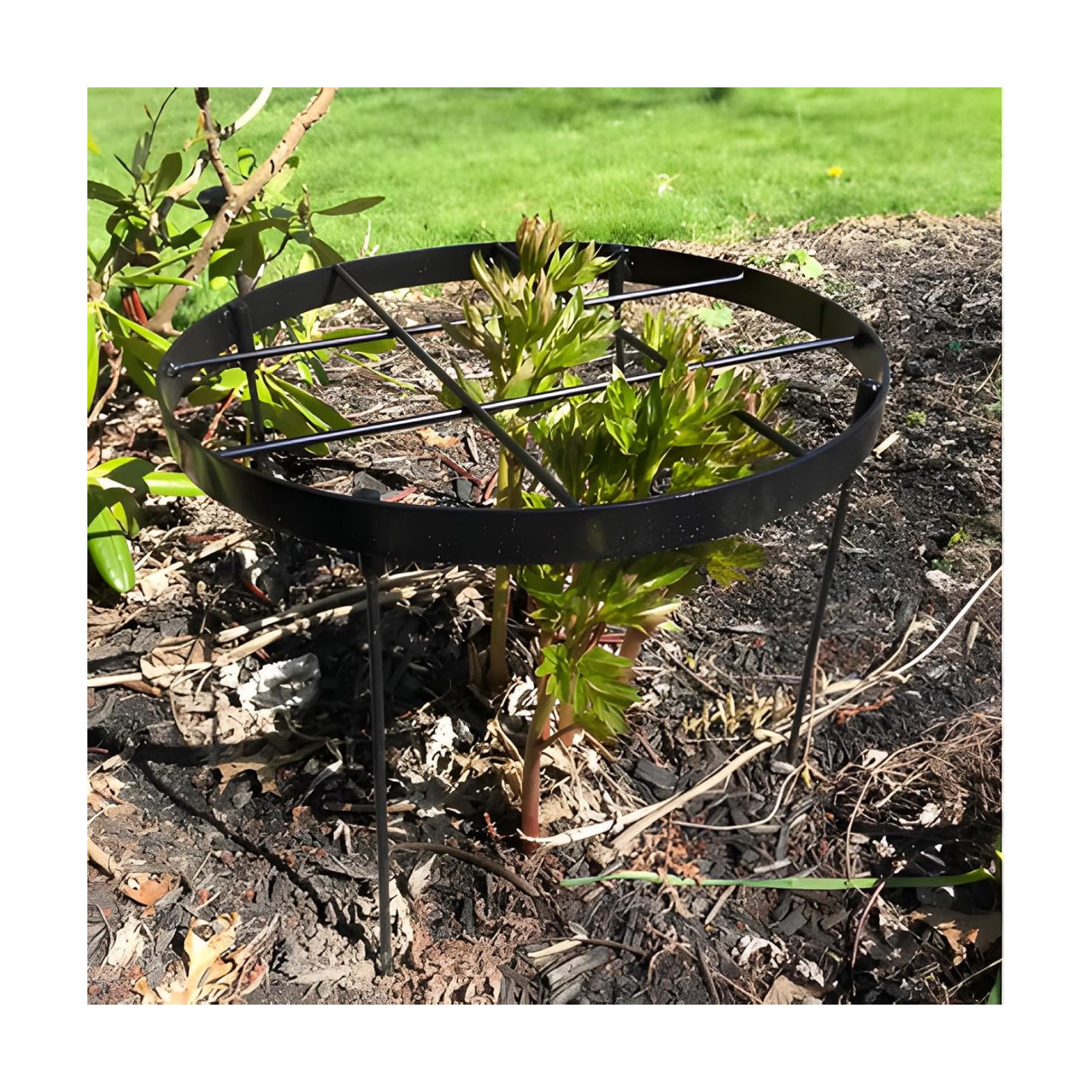 23.6" Peony Cages and Supports,Plant Support Ring for Hydrangea | Durable Round Garden Flower Rings,Tall Plant Support