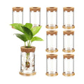 9 Packs Propagation Vases for Plants Plastic Plant Propagation Station with Hole Lid and Bamboo Stand Growing in Water