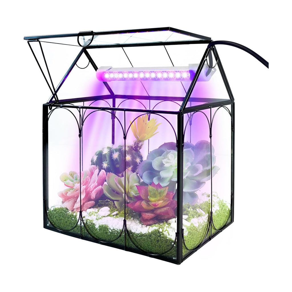 RIFNY Plant Terrarium with Grow Light, Glass Terrarium 7.1 x 4.8 x 8.8 Inch | Terrarium with LED Grow Light and