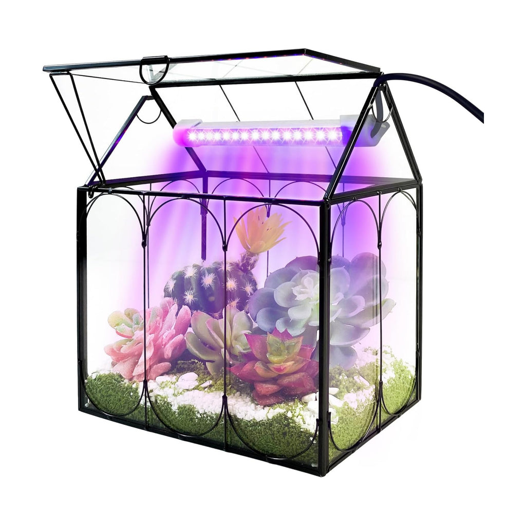 RIFNY Plant Terrarium with Grow Light, Glass Terrarium 8.9 x 5.9 x 9.9 Inch | Terrarium with LED Grow Light and