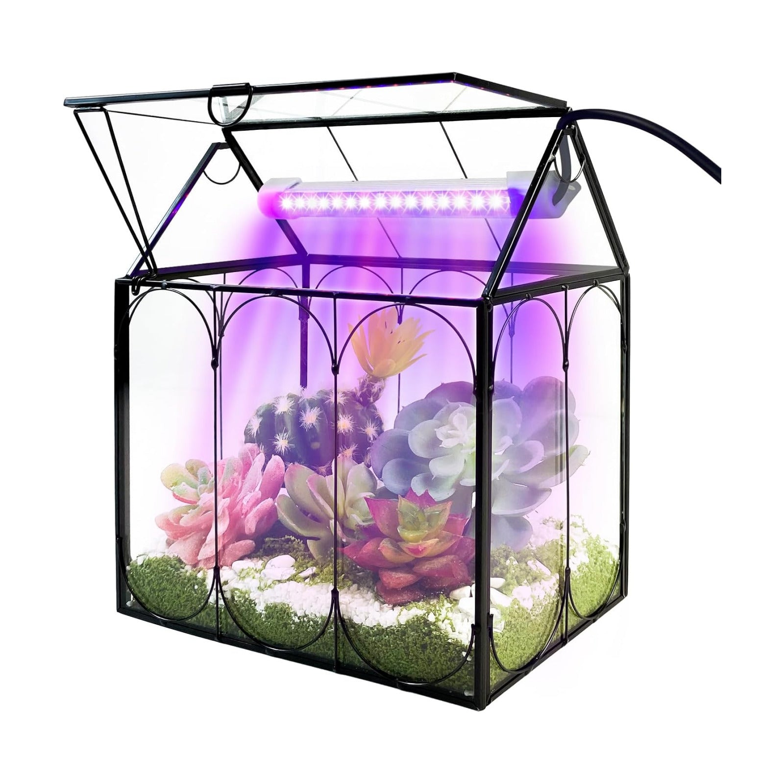 RIFNY Plant Terrarium with Grow Light, Glass Terrarium 8.9 x 5.9 x 9.9 Inch | Terrarium with LED Grow Light and