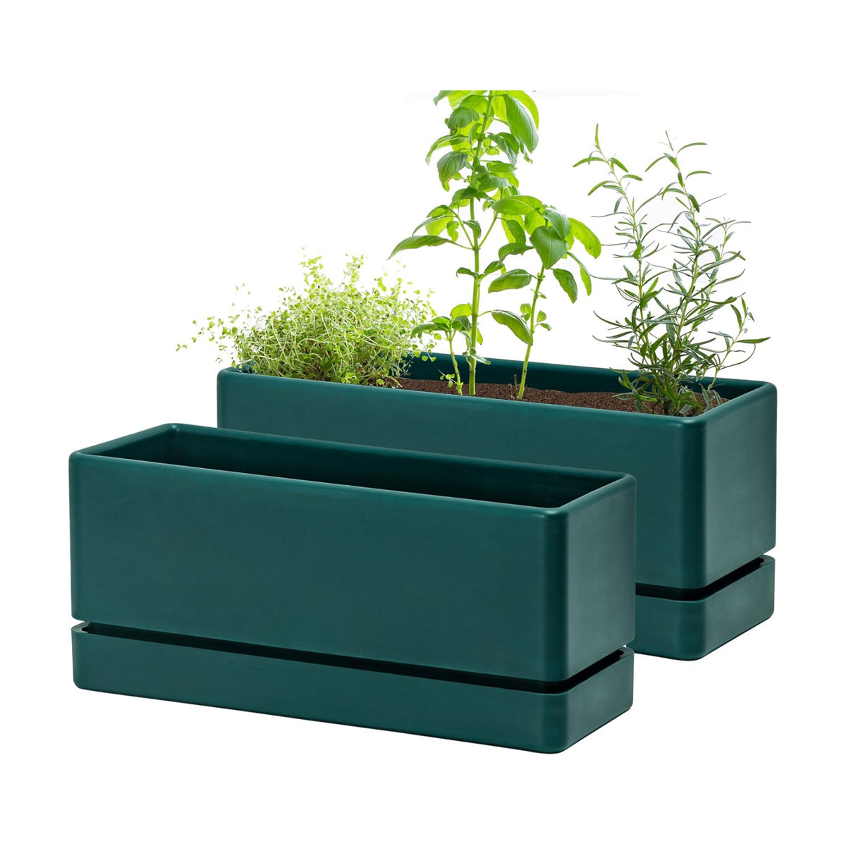 D'vine Dev 2-Pack Rectangular Planters, 12 x 4.5 in, Green, 76-X-C-2
