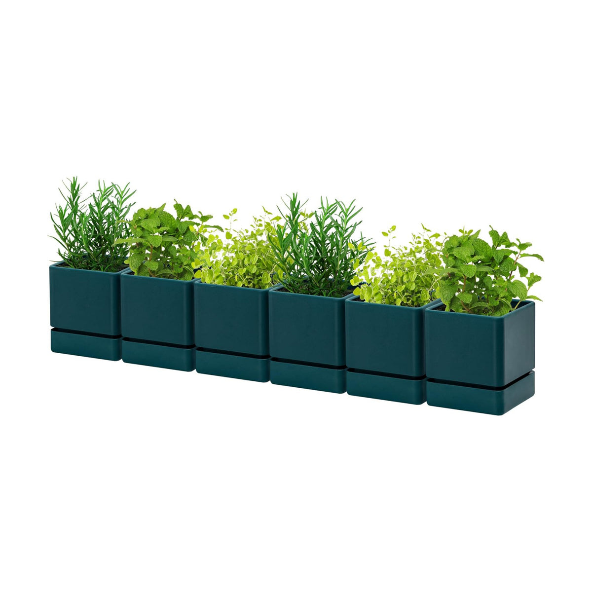 D'vine Dev 6-Pack Plastic Herb Planter Pots, 4 in, Green, 76-Y-C-1