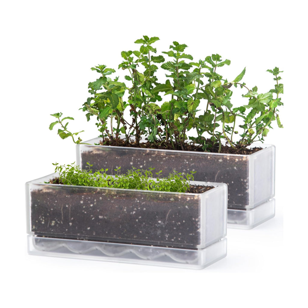 D'vine Dev 2-Pack Rectangular Planters, 12 x 4.5 in, Clear, 76-X-D-2