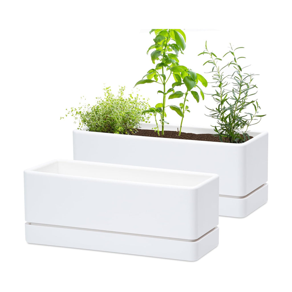 D'vine Dev 2-Pack Rectangular Planters, 12 x 4.5 in, White, 76-X-A-2