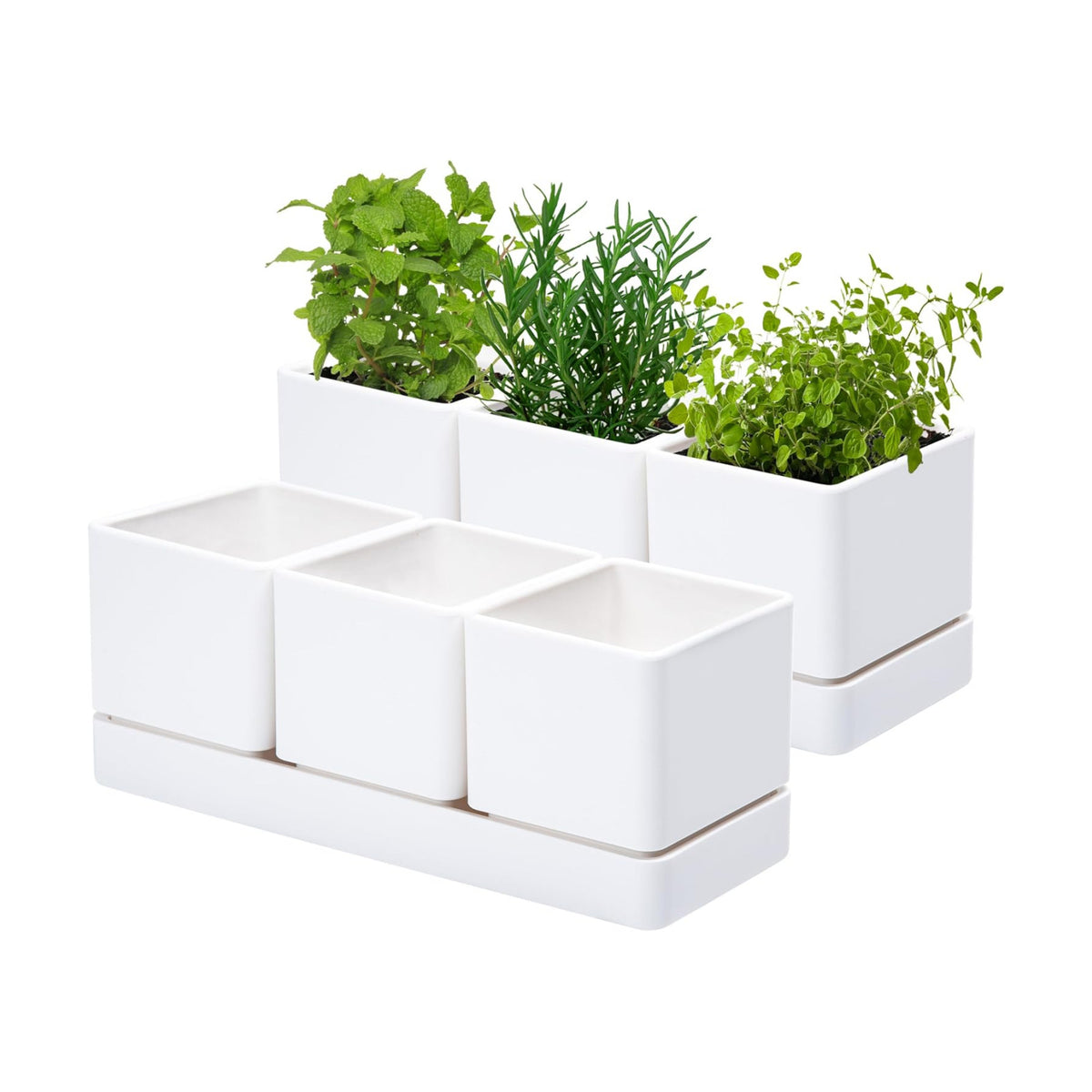D'vine Dev 2-Pack Plastic Herb Garden Planter Set, White, 76-V-A-2