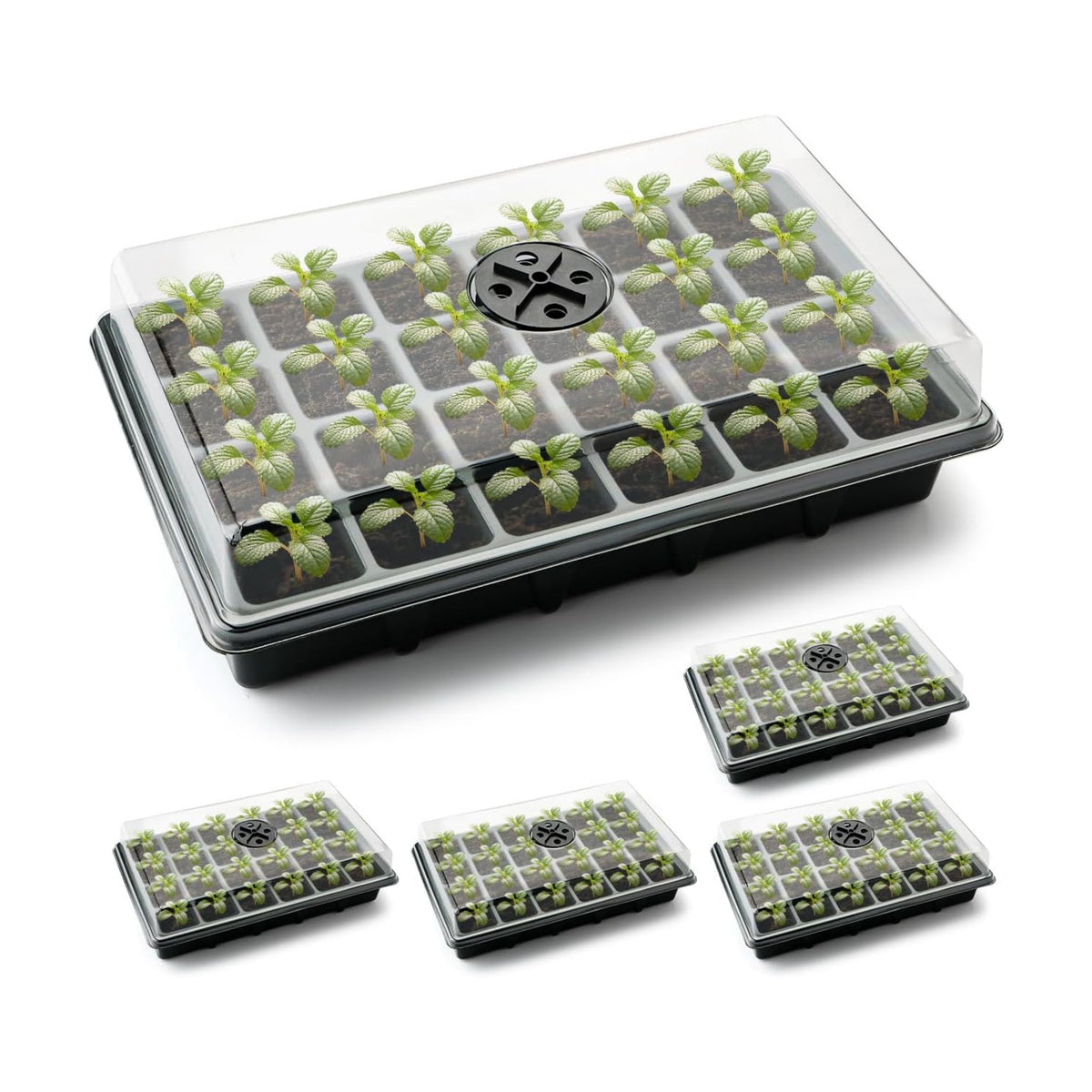 5-Pack Seed Starter Trays with Humidity Dome & Large 24-Cell Plug Trays