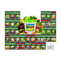 B&KM Farms 40,000+ Non-GMO Heirloom Seed Kit-36 Fruit & Vegetable Variety | Features 5+ year supply of 36 individual