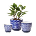 Selamica Ceramic Plant Pots, Indoor Flower Pots for Indoor Plants, 3.5+4.6+5.5 Planters with Drainage Hole & Saucer