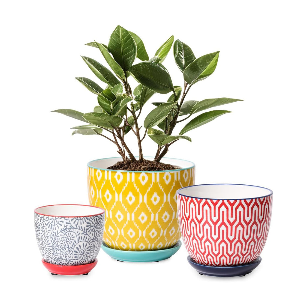 Selamica Ceramic Plant Pots, Indoor Flower Pots for Indoor Plants, 3.5+4.6+5.5 Planters with Drainage Hole & Saucer