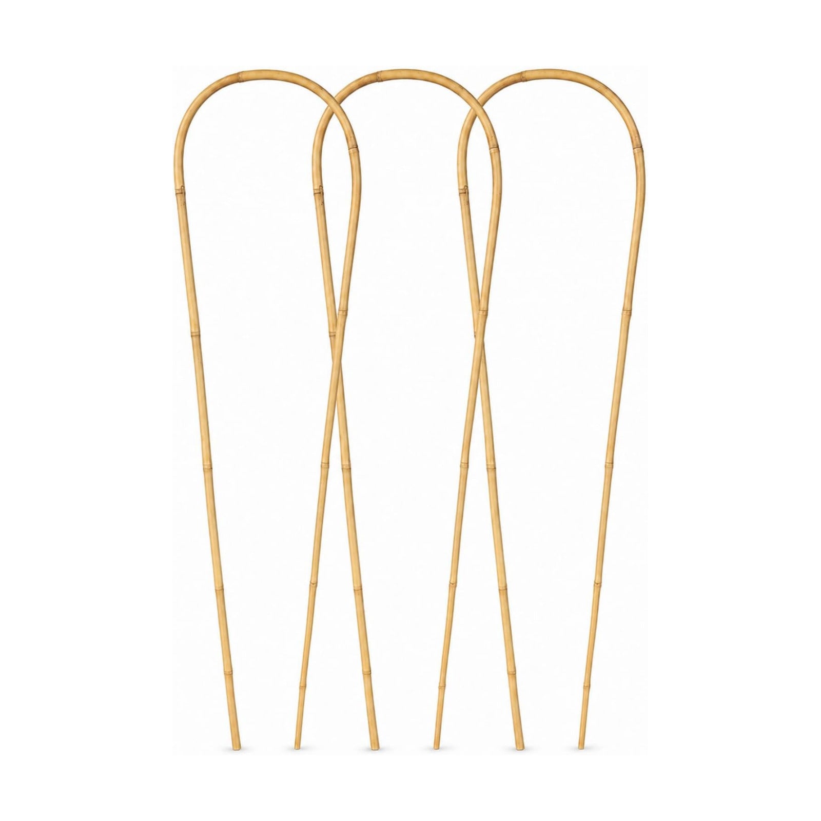 36in Natural Bamboo U-Hoop Trellis for Climbing Plants, 3 PCS | U-Shaped Plant Support Hoop for Potted Plants, Vines