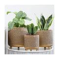 JHY DESIGN Set of 3 Plant Pots 10/8.5/7''H Metal Decoration Flower Pots with Hollow Design Large planters for Indoor &