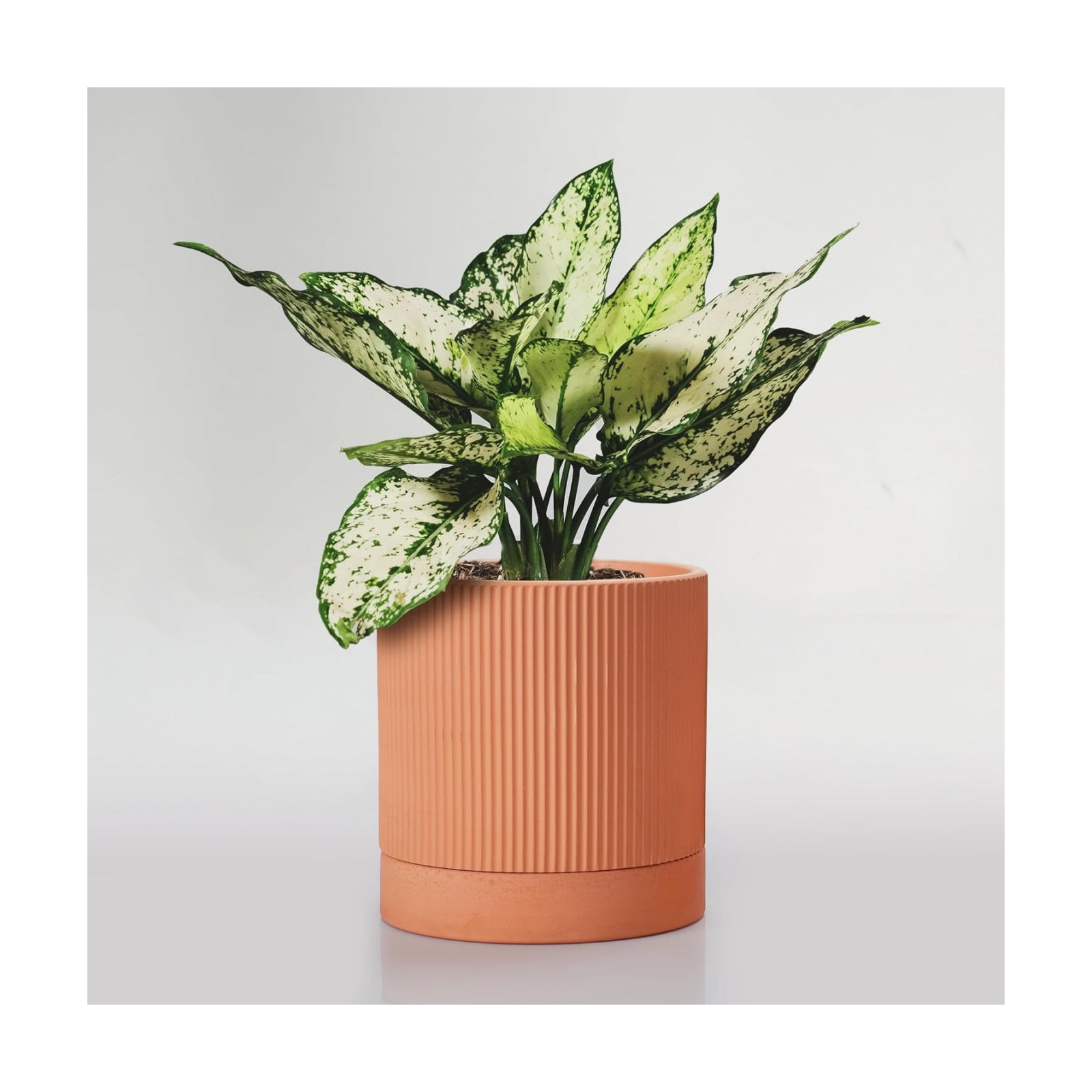 HERDUK Modern Terracotta Pots, 6 Inch Ribbed Textured Clay Planter Pots with Drainage Hole & Saucer, Garden Pots for