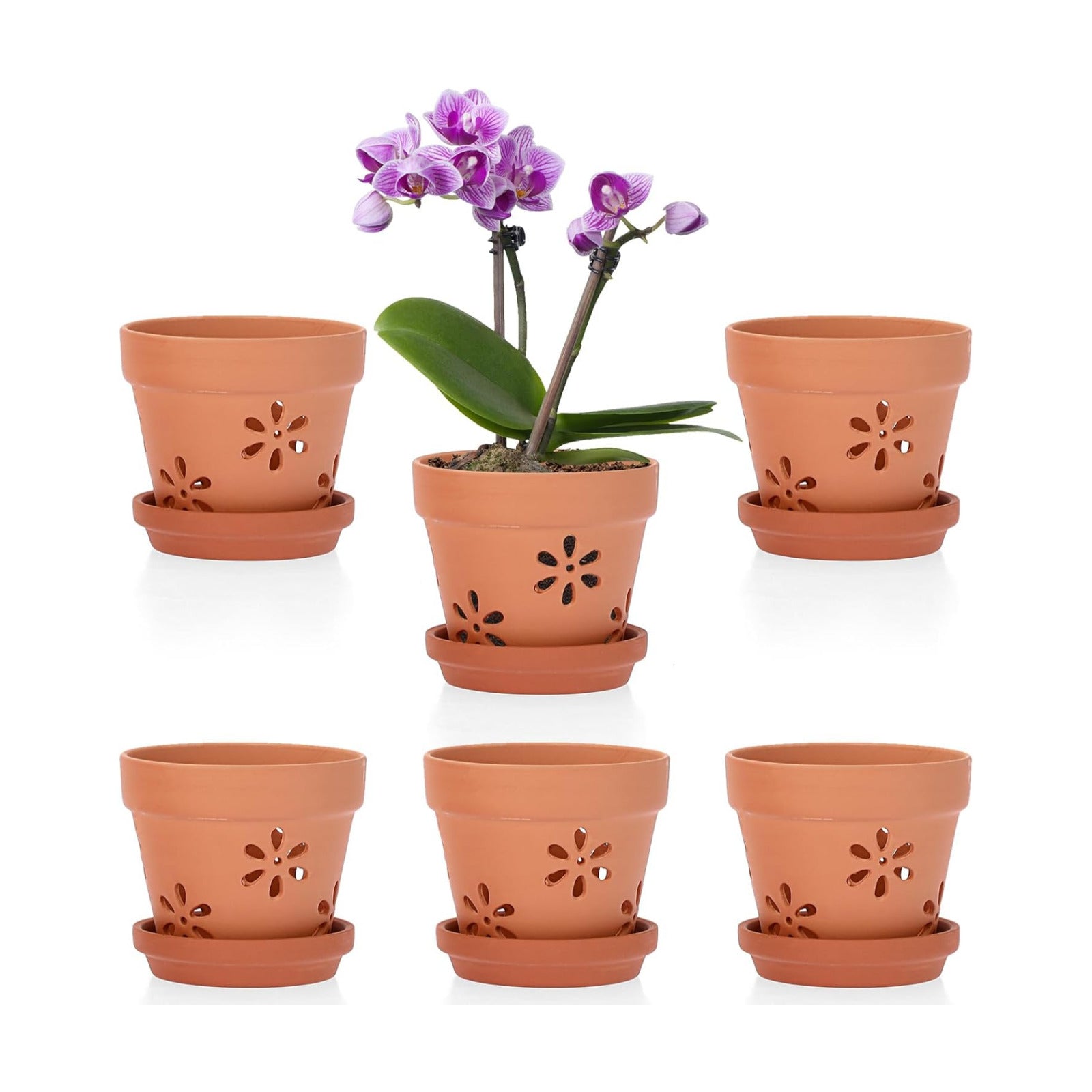 JUXYES Small 4" Hollowed Out Terracotta Orchid Pots with Holes and Saucer | 6 Pack Natural Rustic Clay Planter Pots for